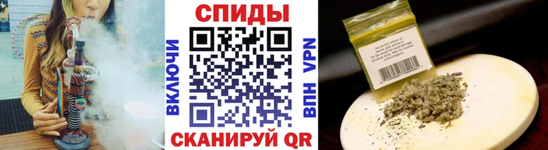 БУТИРАТ BDO 33%  Орлов 